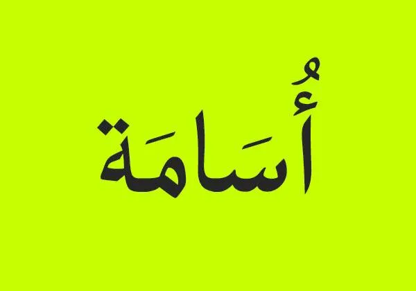 خطوط — تصميم #3339