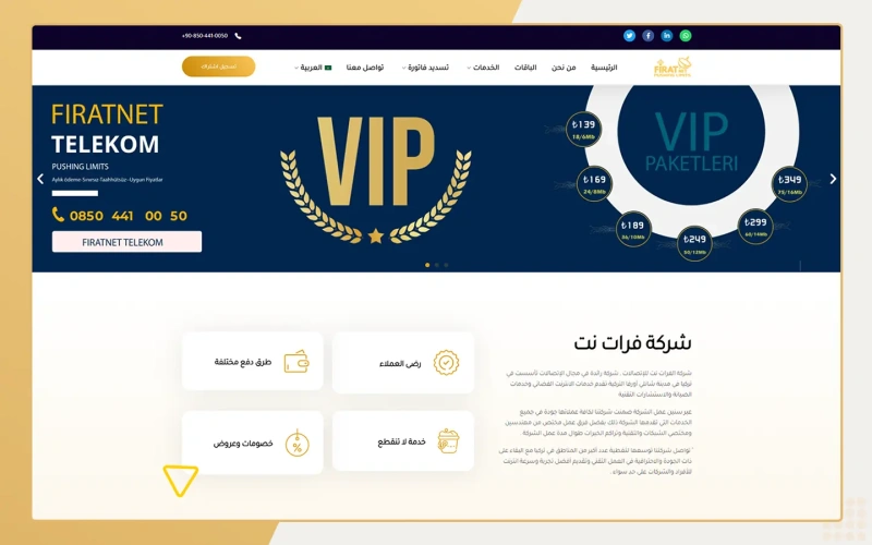 مواقع الشركات — تصميم #255